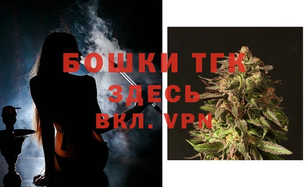 ГАЛЛЮЦИНОГЕННЫЕ ГРИБЫ Переславль-Залесский
