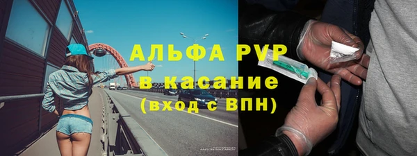 ГАЛЛЮЦИНОГЕННЫЕ ГРИБЫ Переславль-Залесский
