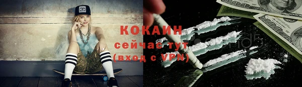 ГАЛЛЮЦИНОГЕННЫЕ ГРИБЫ Переславль-Залесский