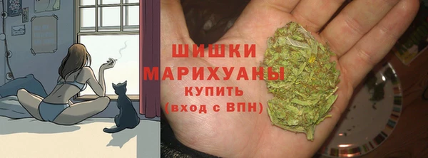 ГАЛЛЮЦИНОГЕННЫЕ ГРИБЫ Переславль-Залесский