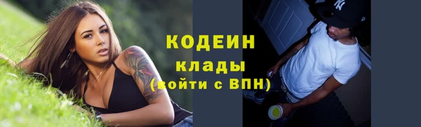 ГАЛЛЮЦИНОГЕННЫЕ ГРИБЫ Переславль-Залесский