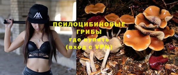 ГАЛЛЮЦИНОГЕННЫЕ ГРИБЫ Переславль-Залесский