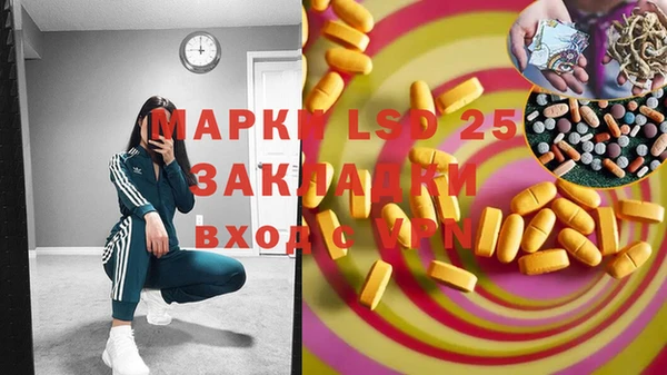 ГАЛЛЮЦИНОГЕННЫЕ ГРИБЫ Переславль-Залесский
