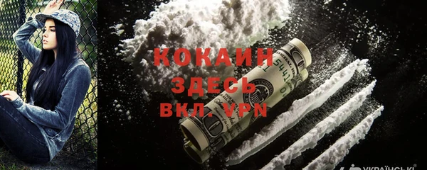 ГАЛЛЮЦИНОГЕННЫЕ ГРИБЫ Переславль-Залесский