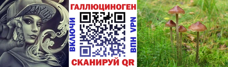 Галлюциногенные грибы Magic Shrooms  Купить  Монино 
